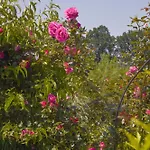 Guest house & D'hotes Clossaintjoseph - Jacuzzi, Sauna & Piscine Ext Chauffee