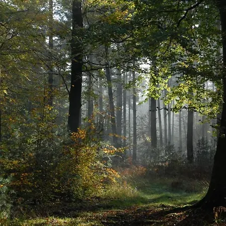 Guest house Gite Et Chambre D'Hotes Clossaintjoseph - Jacuzzi&Sauna - Piscine Ext Chauffee Sainte-Marie-des-Champs (Seine-Maritime)