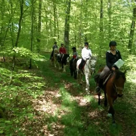 Gite Et Chambre D'Hotes Clossaintjoseph - Jacuzzi&Sauna - Piscine Ext Chauffee