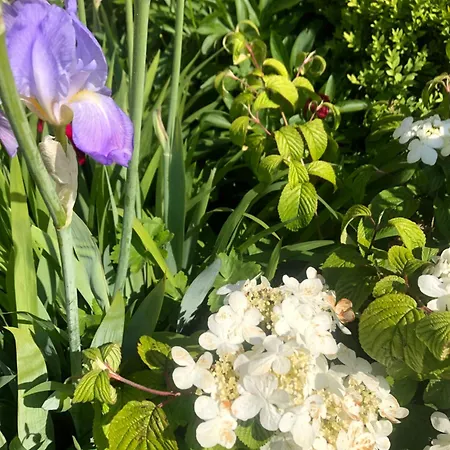 Guest house Gite Et Chambre D'Hotes Clossaintjoseph - Jacuzzi&Sauna - Piscine Ext Chauffee