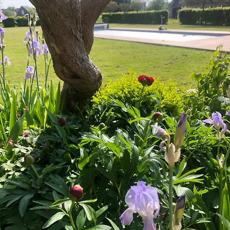 Clossaintjoseph - Jacuzzi&sona - Piscine Ext Chauffée Maison d'hôtes