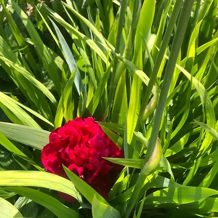 Clossaintjoseph - Jacuzzi&sona - Piscine Ext Chauffée