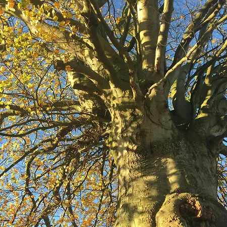 Gite Et Chambre D'Hotes Clossaintjoseph - Jacuzzi&Sauna - Piscine Ext Chauffee Guest house 3*