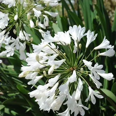 Clossaintjoseph - Jacuzzi&sona - Piscine Ext Chauffée Maison d'hôtes