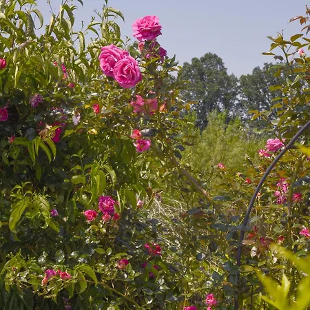 Maison d'hôtes Clossaintjoseph - Jacuzzi&sona - Piscine Ext Chauffée