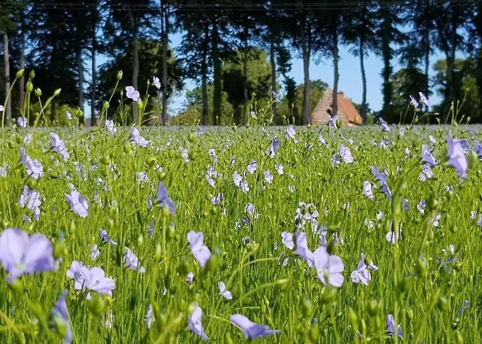 & D'hotes Clossaintjoseph - Jacuzzi, Sauna & Piscine Ext Chauffee Sainte-Marie-des-Champs (Seine-Maritime)