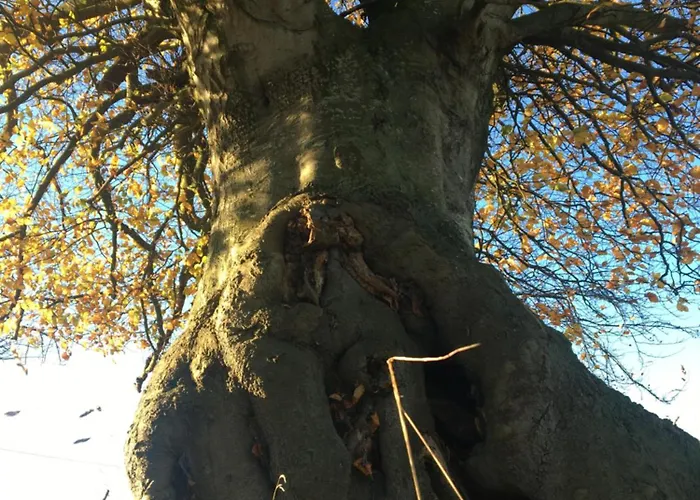 & D'hotes Clossaintjoseph - Jacuzzi, Sauna & Piscine Ext Chauffee Sainte-Marie-des-Champs (Seine-Maritime)