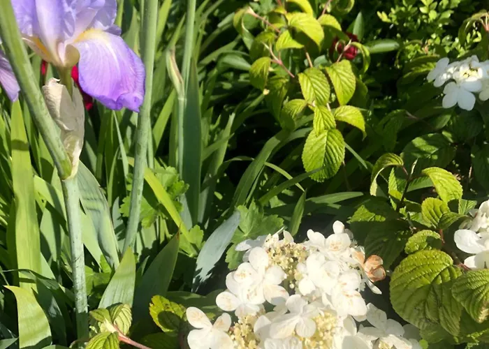 Gasthof & D'hotes Clossaintjoseph - Jacuzzi, Sauna & Piscine Ext Chauffee