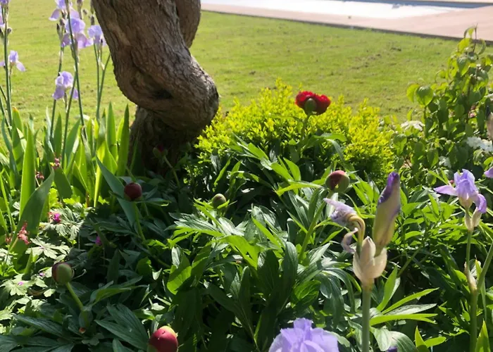 & D'hotes Clossaintjoseph - Jacuzzi, Sauna & Piscine Ext Chauffee Gasthof