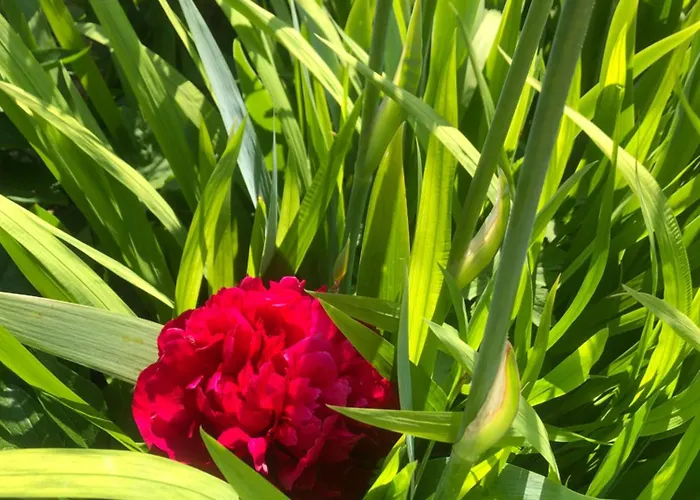 & D'hotes Clossaintjoseph - Jacuzzi, Sauna & Piscine Ext Chauffee