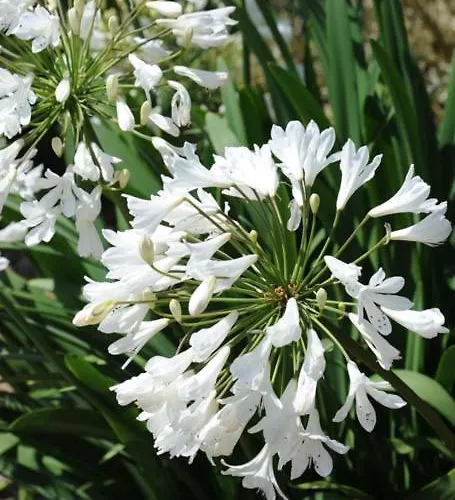 & D'hotes Clossaintjoseph - Jacuzzi, Sauna & Piscine Ext Chauffee Gasthof